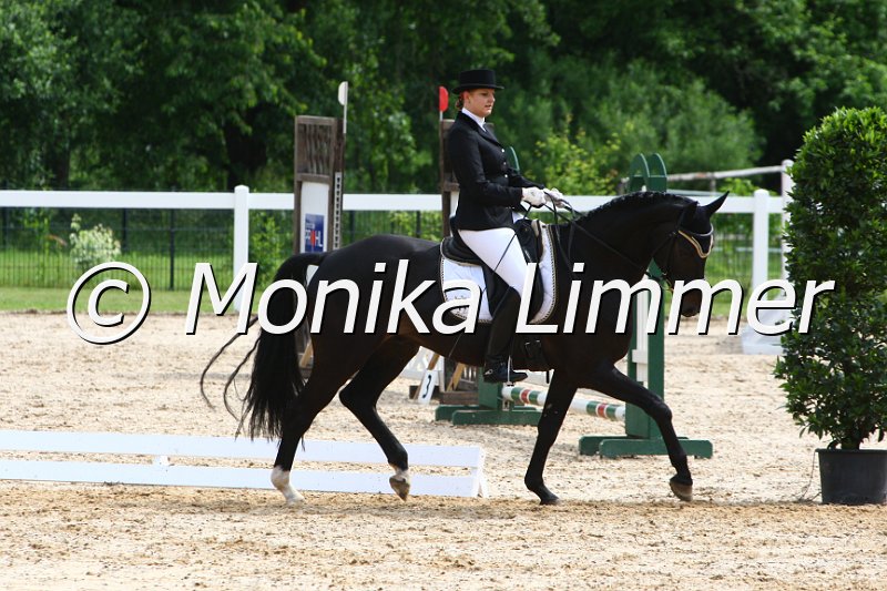 006M4423_Dressur L.JPG